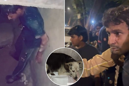 Mumbai Horror: 40-Year-Old Man Arrested for Sexually Assaulting Female Dog in Kandivali — Shocking Animal Abuse Case