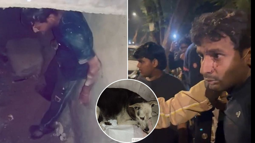 Mumbai Horror: 40-Year-Old Man Arrested for Sexually Assaulting Female Dog in Kandivali — Shocking Animal Abuse Case