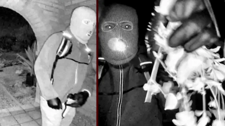 Nancy Guthrie Disappearance Case: 1 Person Detained for Questioning in Major Break