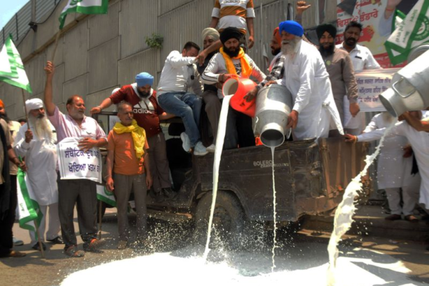 Why Are Farmers Dumping Thousands of Litres of Milk on Amritsar Roads? 5 Key Reasons Behind the Protest