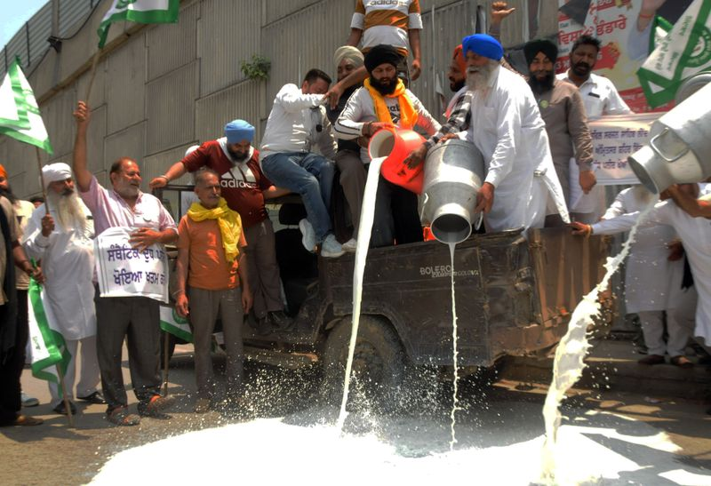 Why Are Farmers Dumping Thousands of Litres of Milk on Amritsar Roads? 5 Key Reasons Behind the Protest